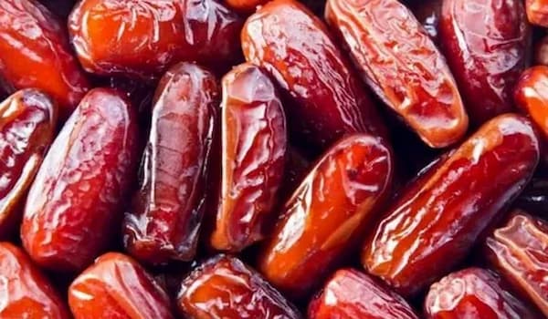 خریدخرما کبکاب صادراتی + قیمت فروش استثنایی